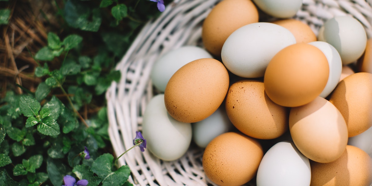 8 razloga zašto je jaja dobro jesti svaki dan! - GAZ Nutrition